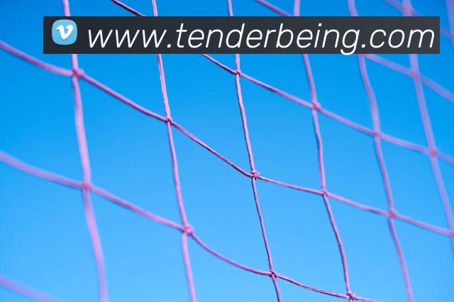 9游会j9官网发展历程